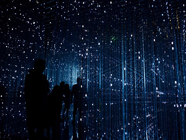 Libero Enim Sedfaucibus Turpis Magna Fermentum Justoeget 6 robynne hu HOrhCnQsxnQ unsplash